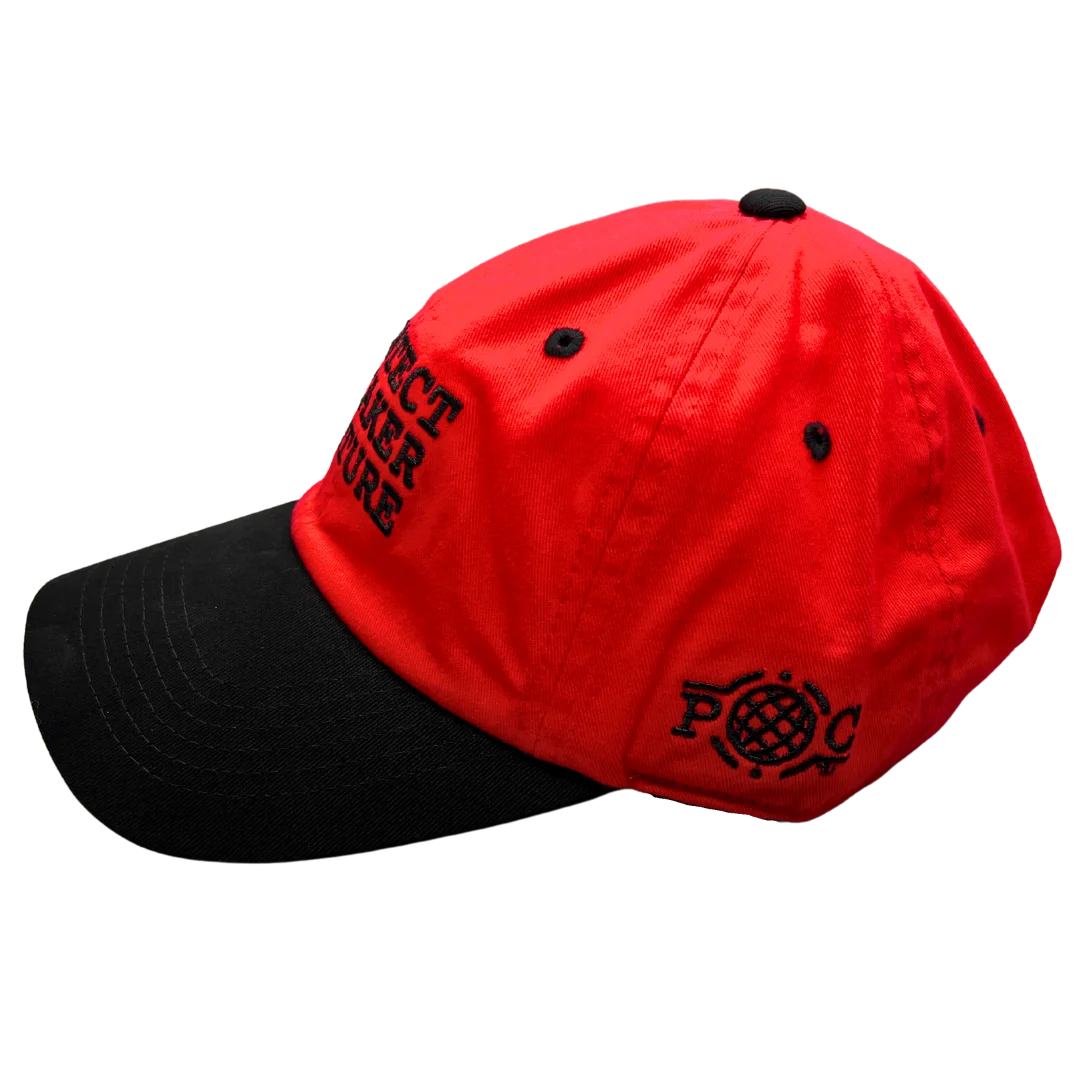 Protect Sneaker Culture Dad Hats product image (3)