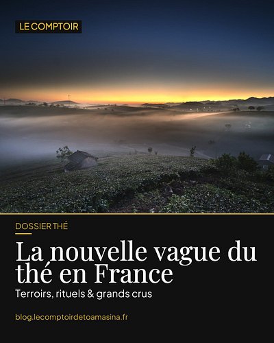 🍵 La nouvelle vague du thé déferle sur la France.

Longtemps réservé aux puristes, le thé s'impose aujourd'hui comme un vérit...