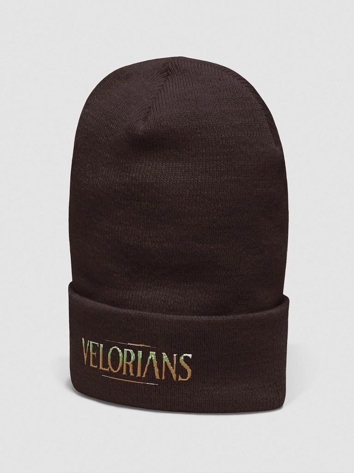 Velorians Beret product image (2)