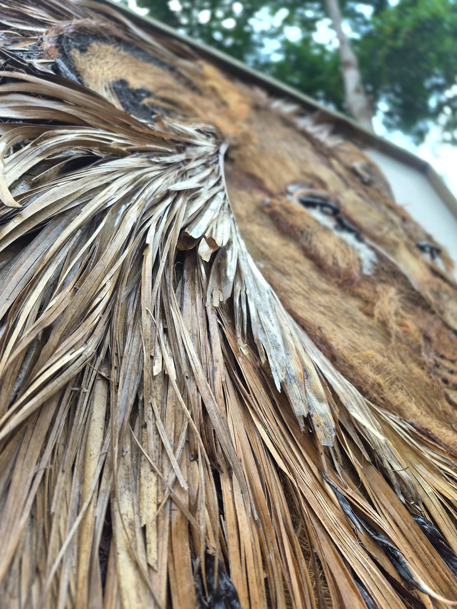 DESERT KING | Original Nature Artwork product image (3)