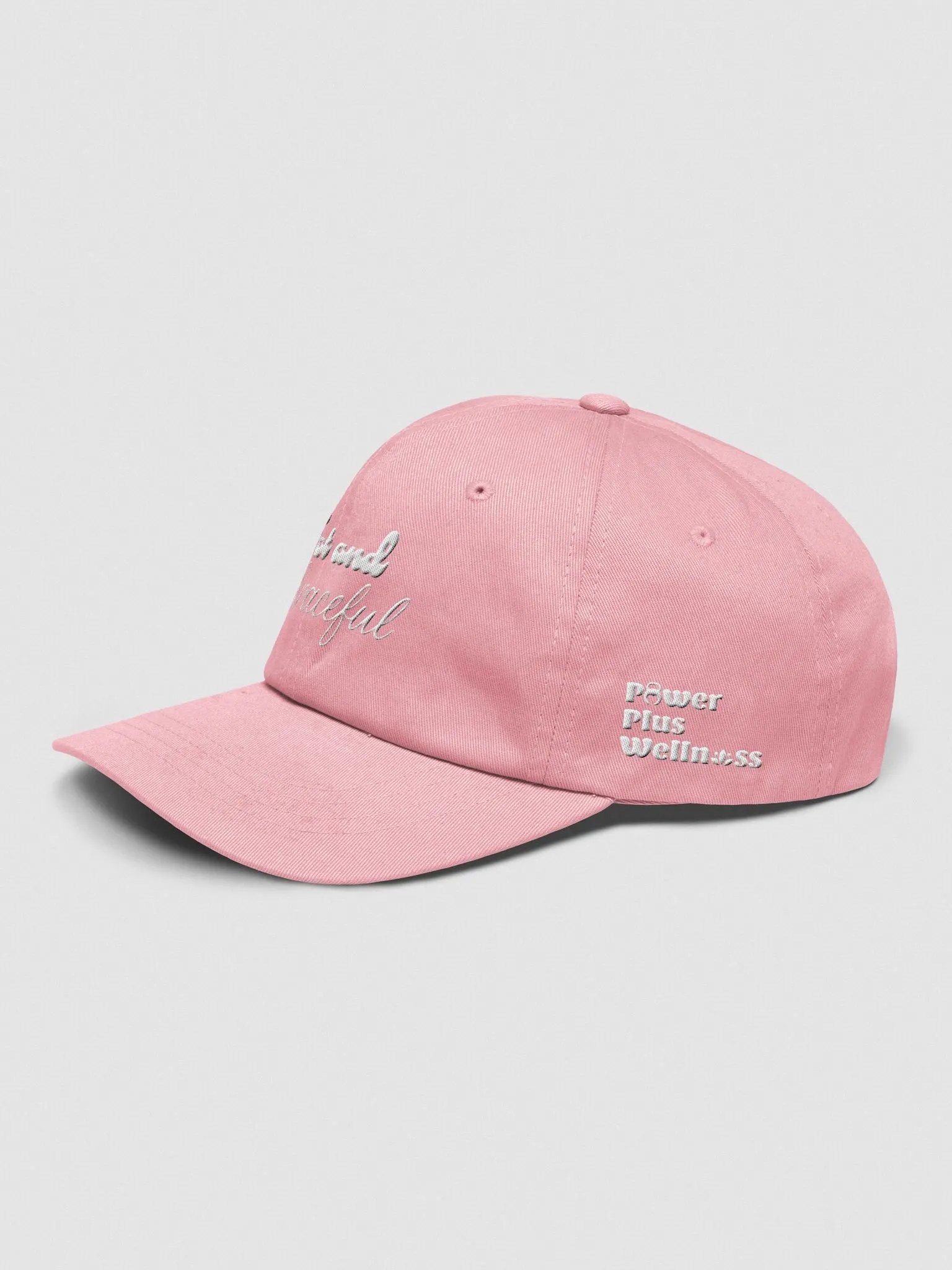 Fat and Graceful Dad Hat product image (23)