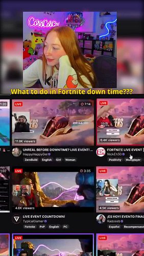 What do we do during downtime ?💀 #fortnite #season7