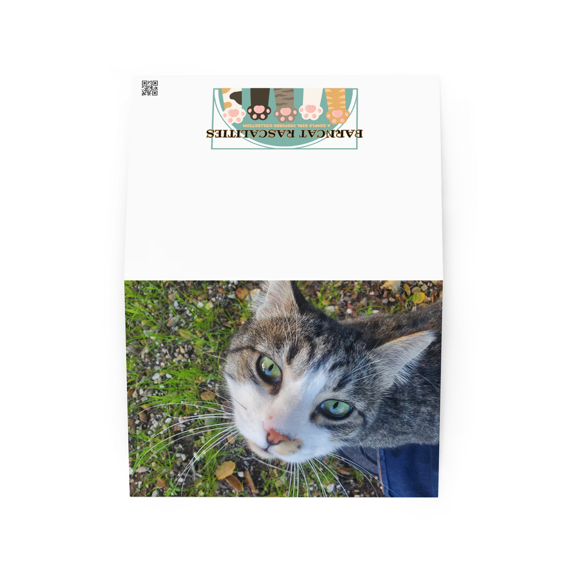 Banjo Says HELLO! product image (2)