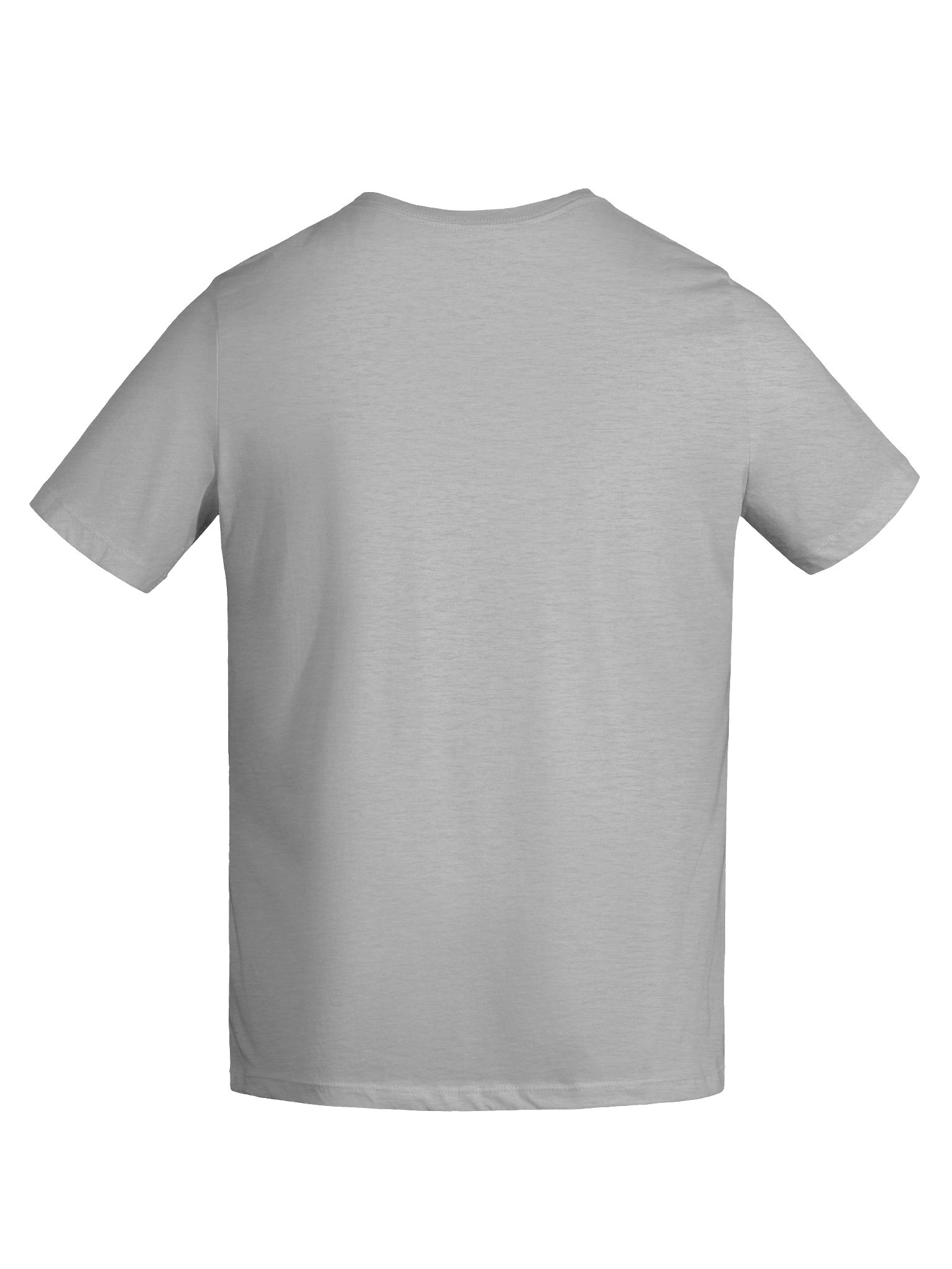 My Dog Is My Plus One Women’s Tee – Bella+Canvas 6400 Dog Lover Shirt product image (10)