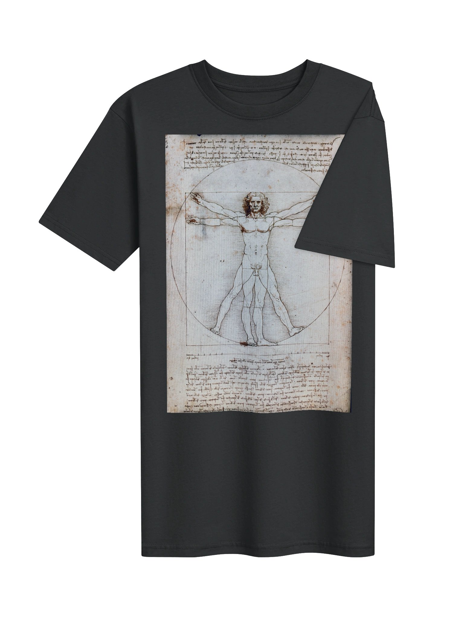 The Vitruvian Man (L'Uomo Vitruviano) Leonardo da Vinci product image (4)