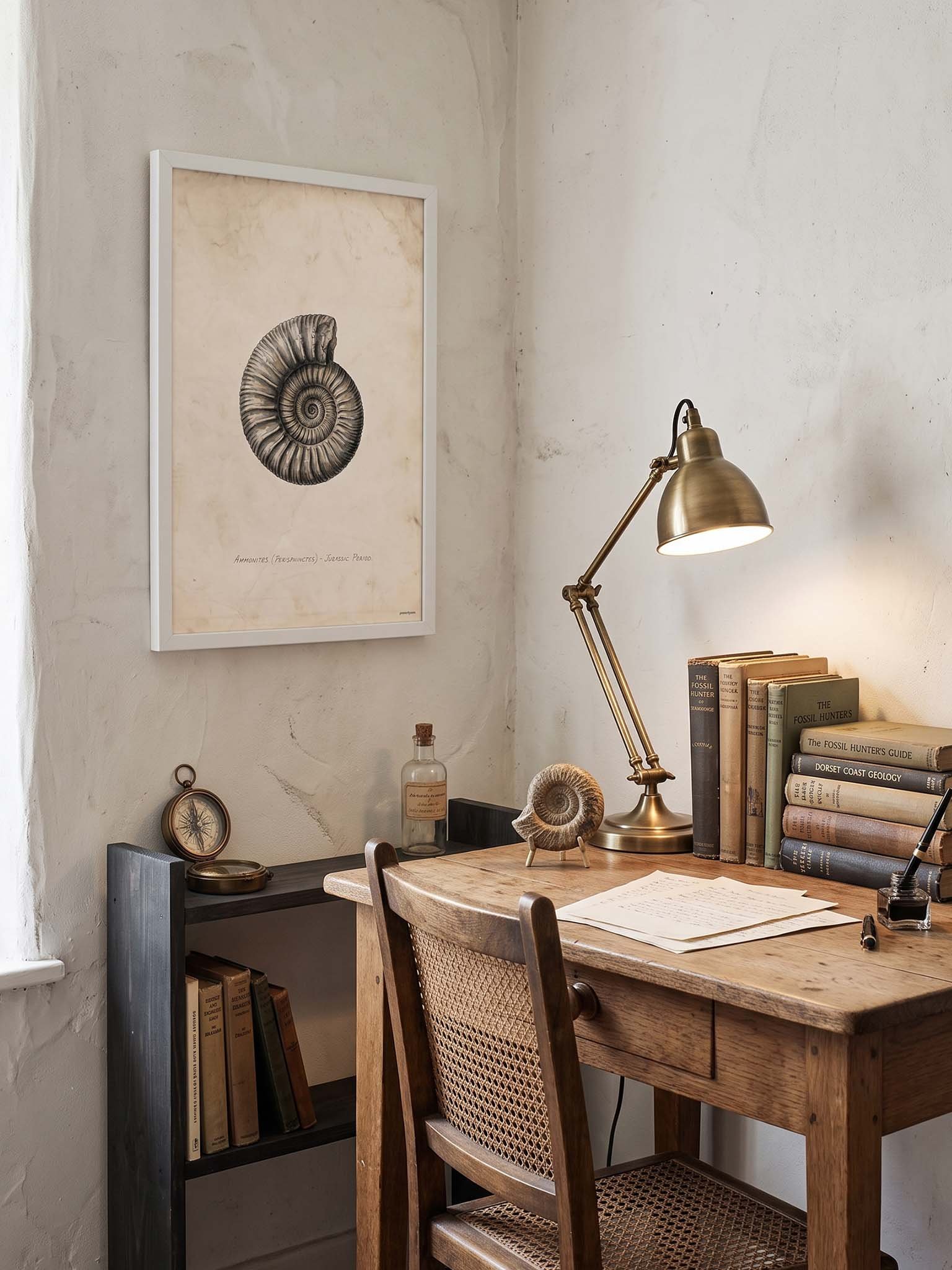 Fossil Study - Vintage Natural Archive Wall Art product image (61)