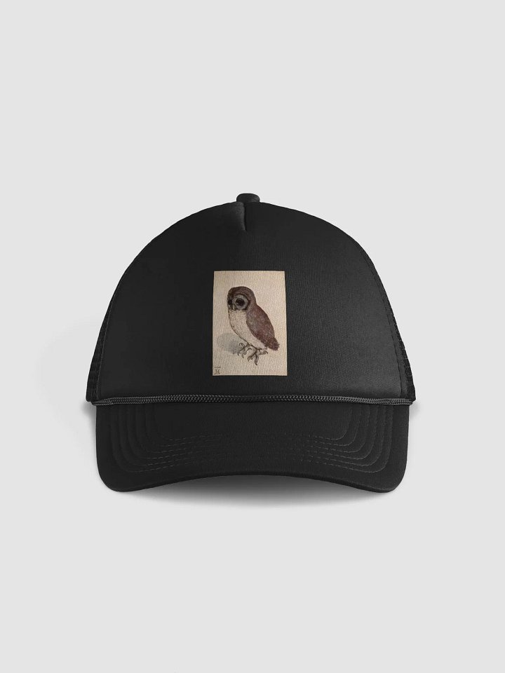 Albrecht Durer The Little Owl Vintage Owl Sketch Foam Trucker Hat product image (1)