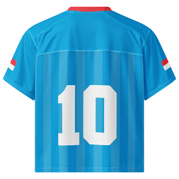 Luxembourg Boxy Sports Tee product image (2)