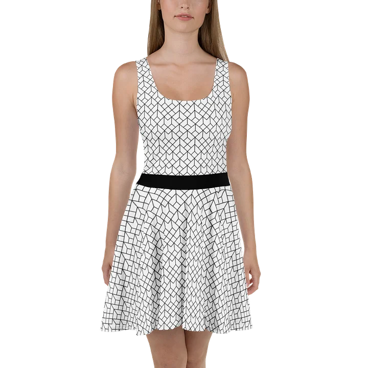 Black & White Mesh Pattern Geometric Dress product image (1)