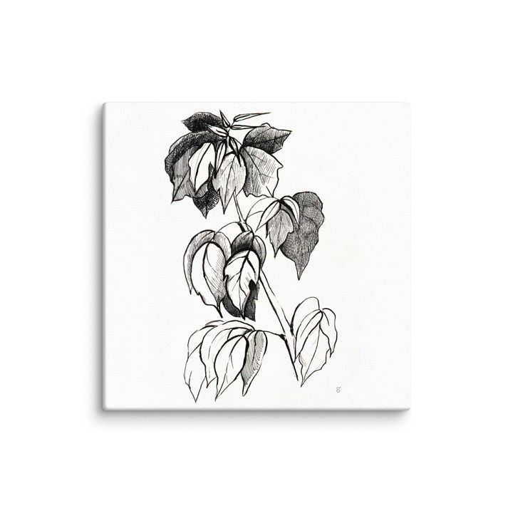 Botanical Line Art Canvas Print - Stylish Graphical Twig product image (1)