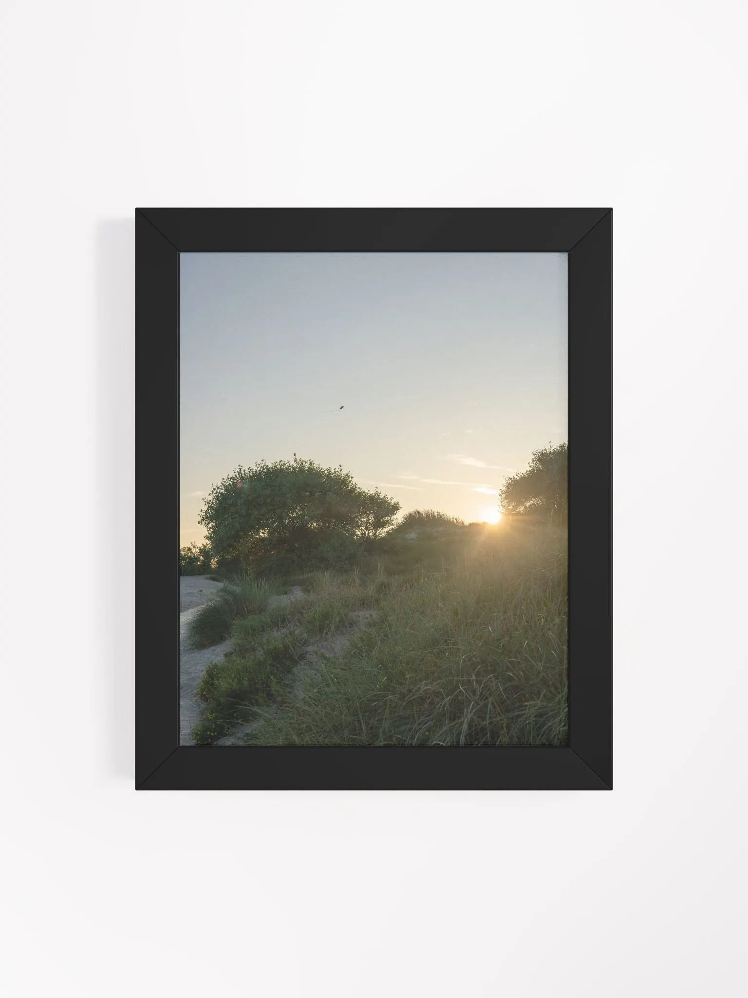 Nature with beautiful sunset product image (4)