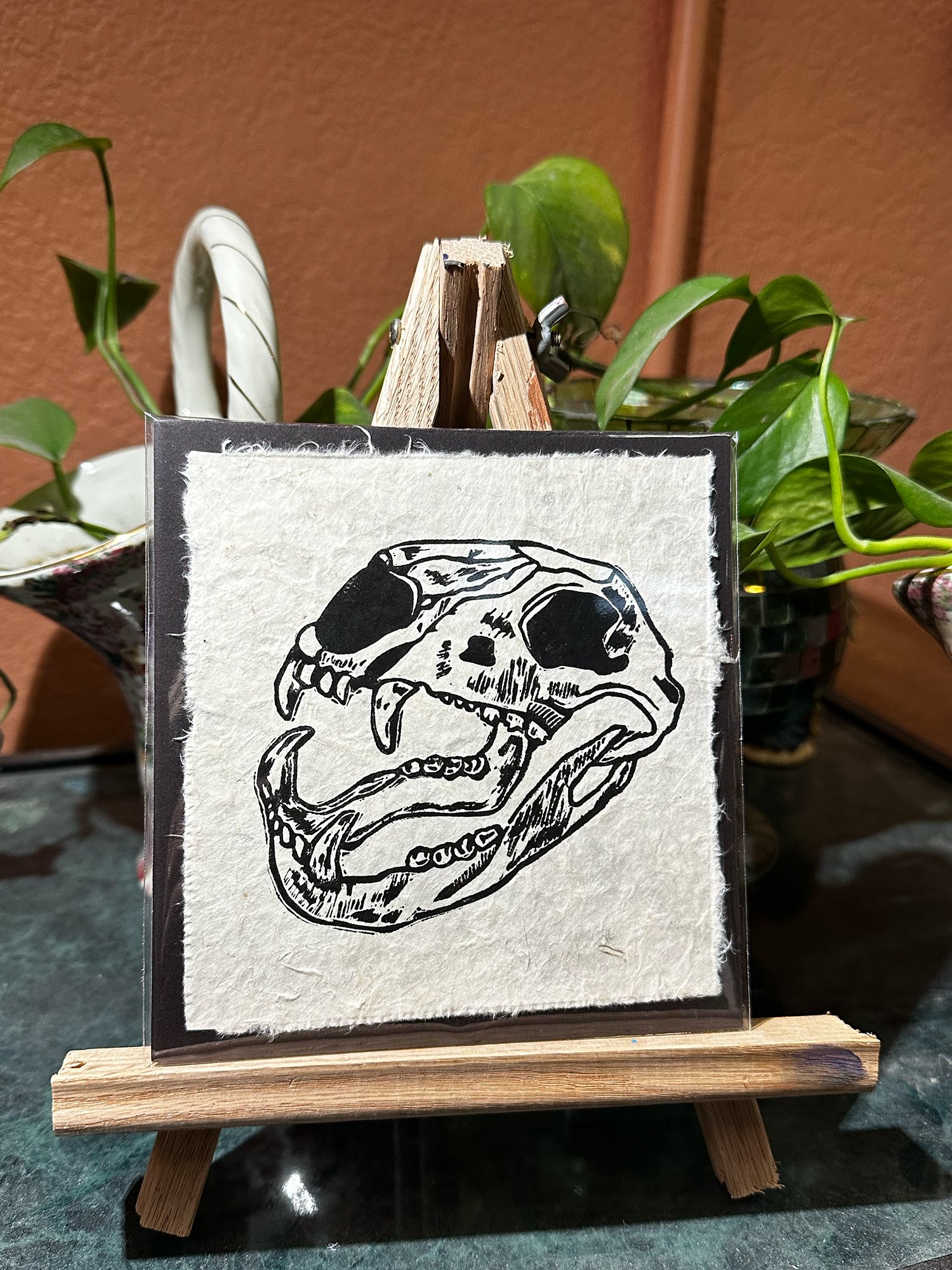Bear Skull product image (3)