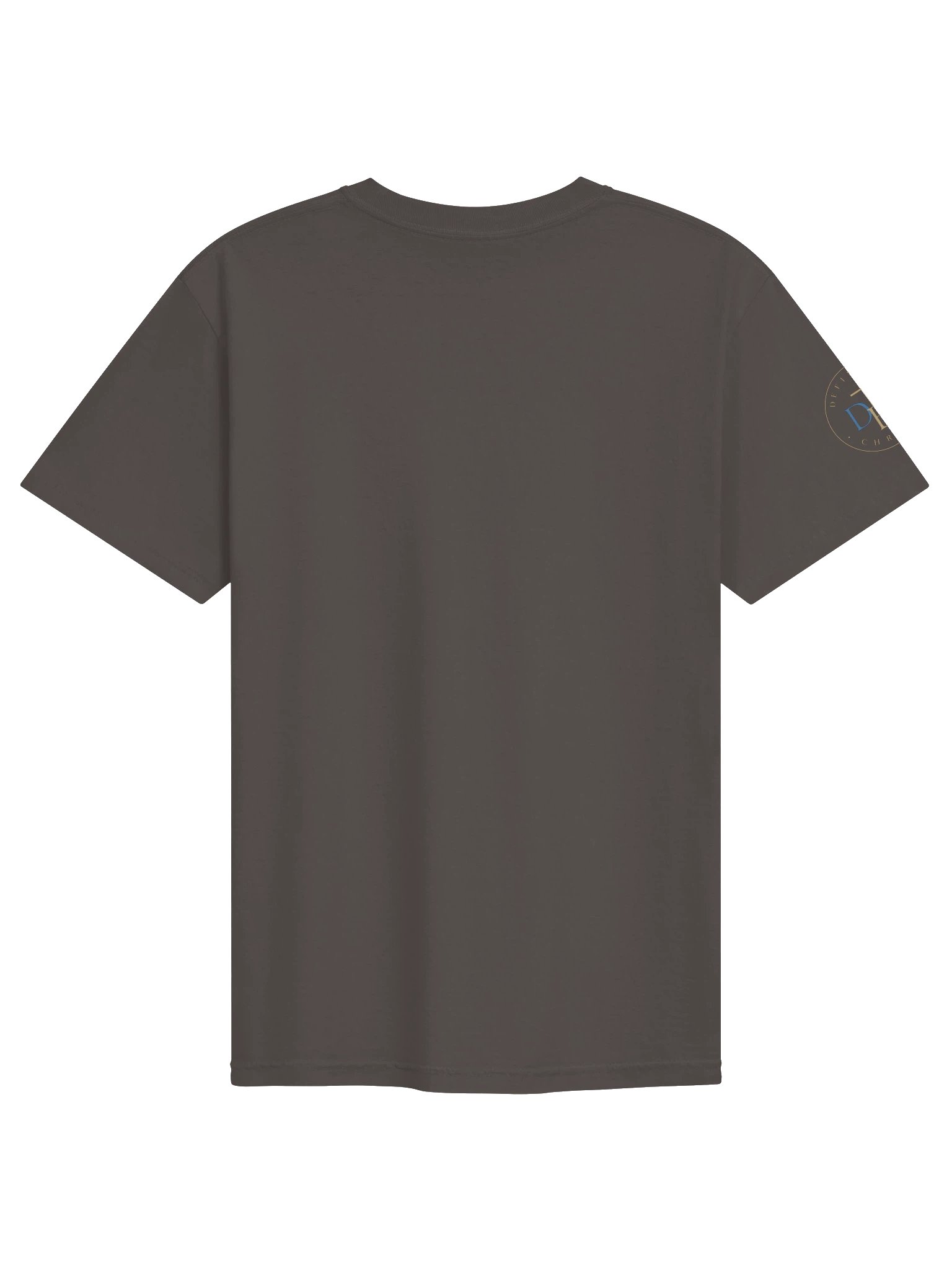 Biblical Truths: Stand United product image (18)