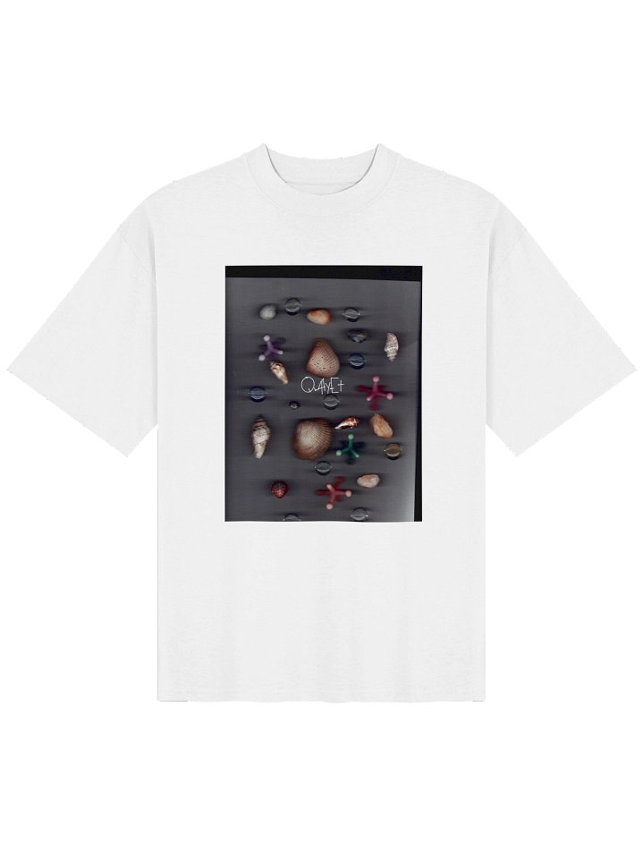 QWHYET Shellscape Shifted Oversized Tee product image (1)