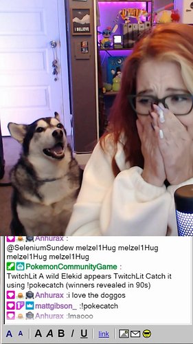 What was that face, Obi?! #huskies #funny #twitch #explorepage✨ #dogsofinstagram