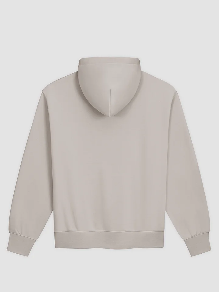 Seeking Truth Premium Hoodie product image (2)