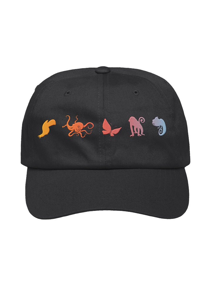 Socialocca Ecosystem Core Cap – Gradient product image (3)