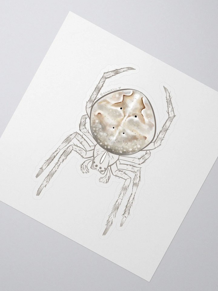 Large Grey Spider – Sticker product image (2)