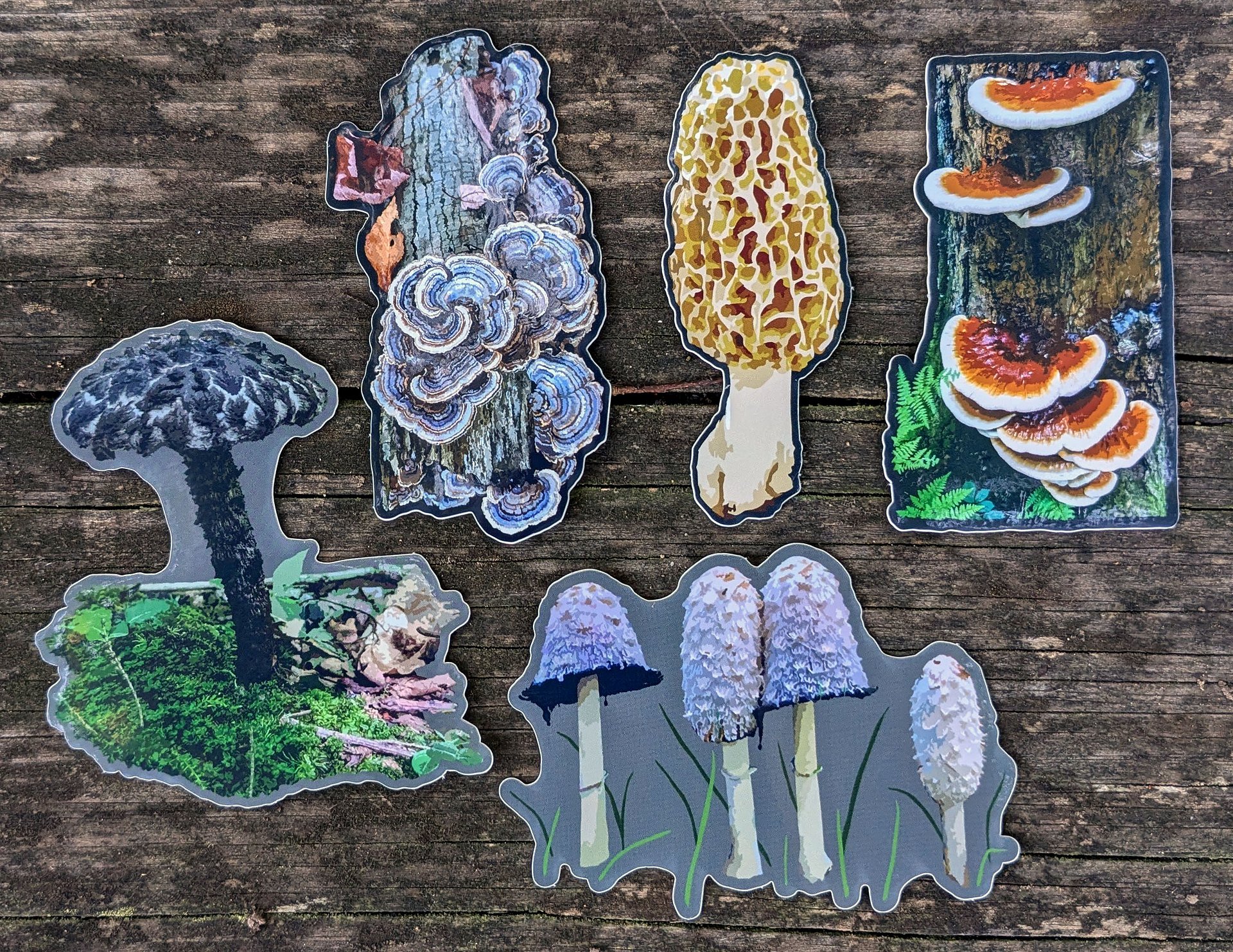 5 Sticker Assortment Pack #1 product image (1)