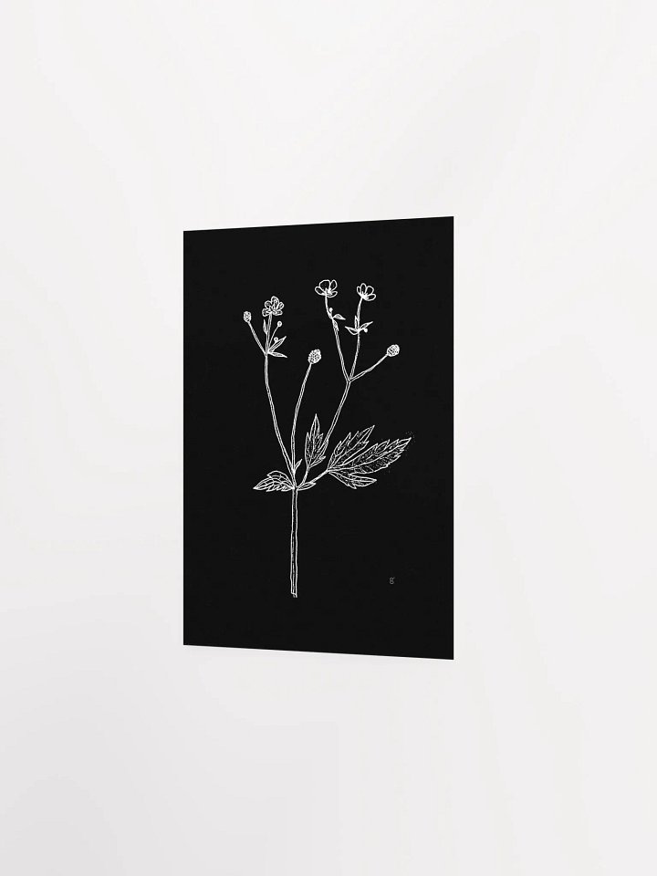 Botanical Bliss Matte Poster - Wild Flowers Dark Stylish product image (2)