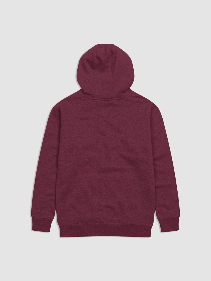 UFO Ultraconservative Family Oriented Premium Hoodie product image (2)