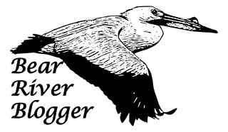Bear River Blogger