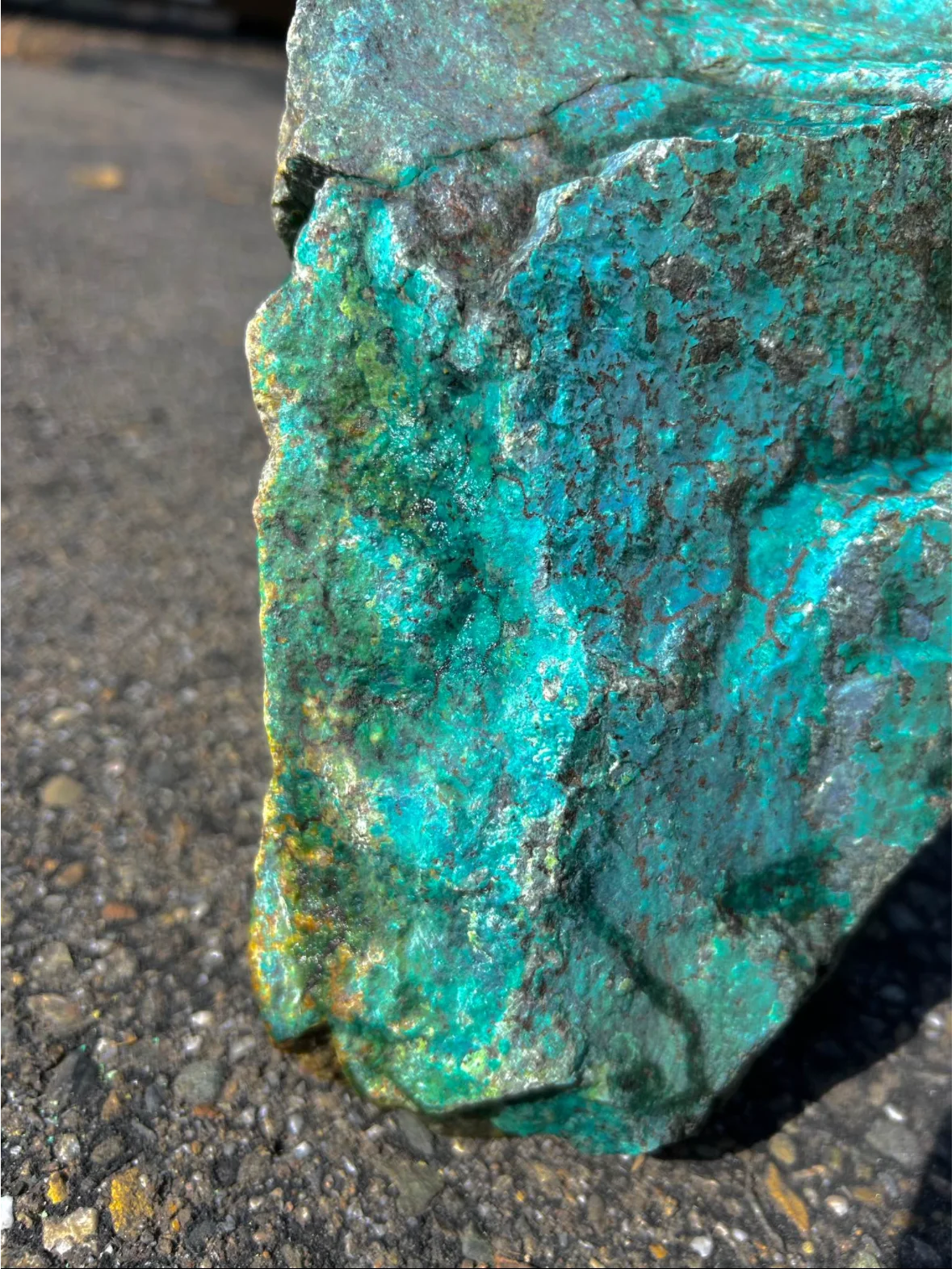 40 Pound - (Museum Grade) Chrysocolla product image (2)
