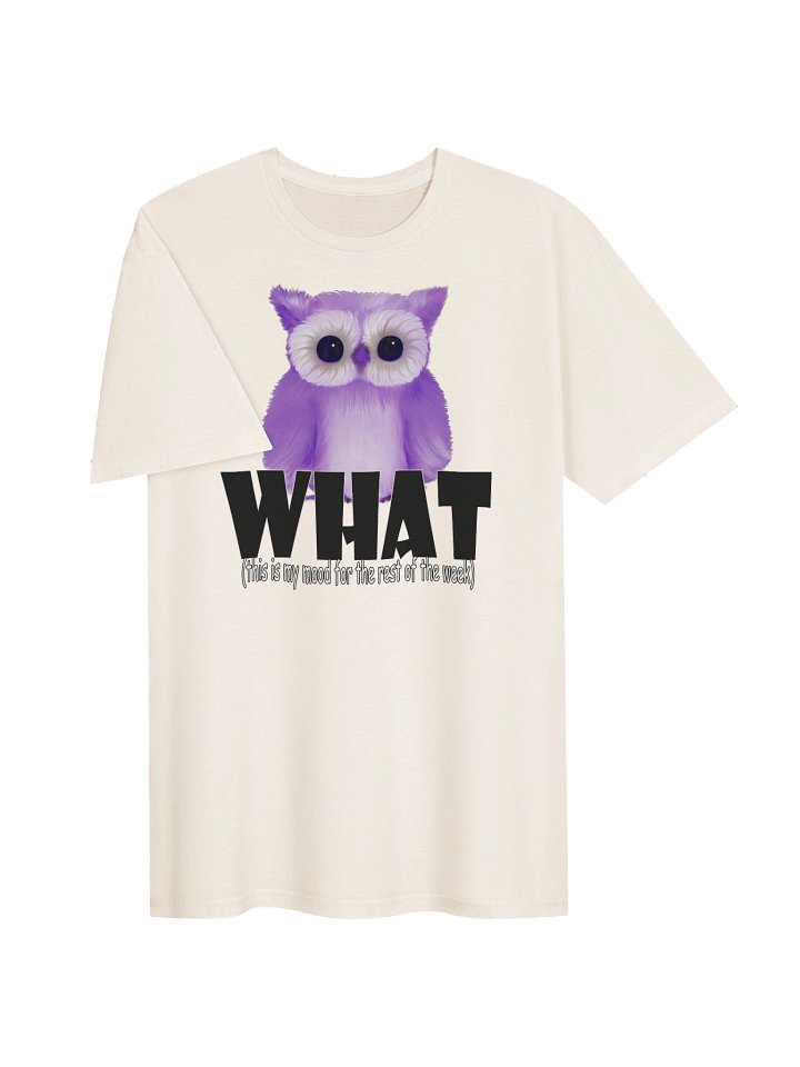 Unisex Gildan Softstyle T-Shirt product image (2)