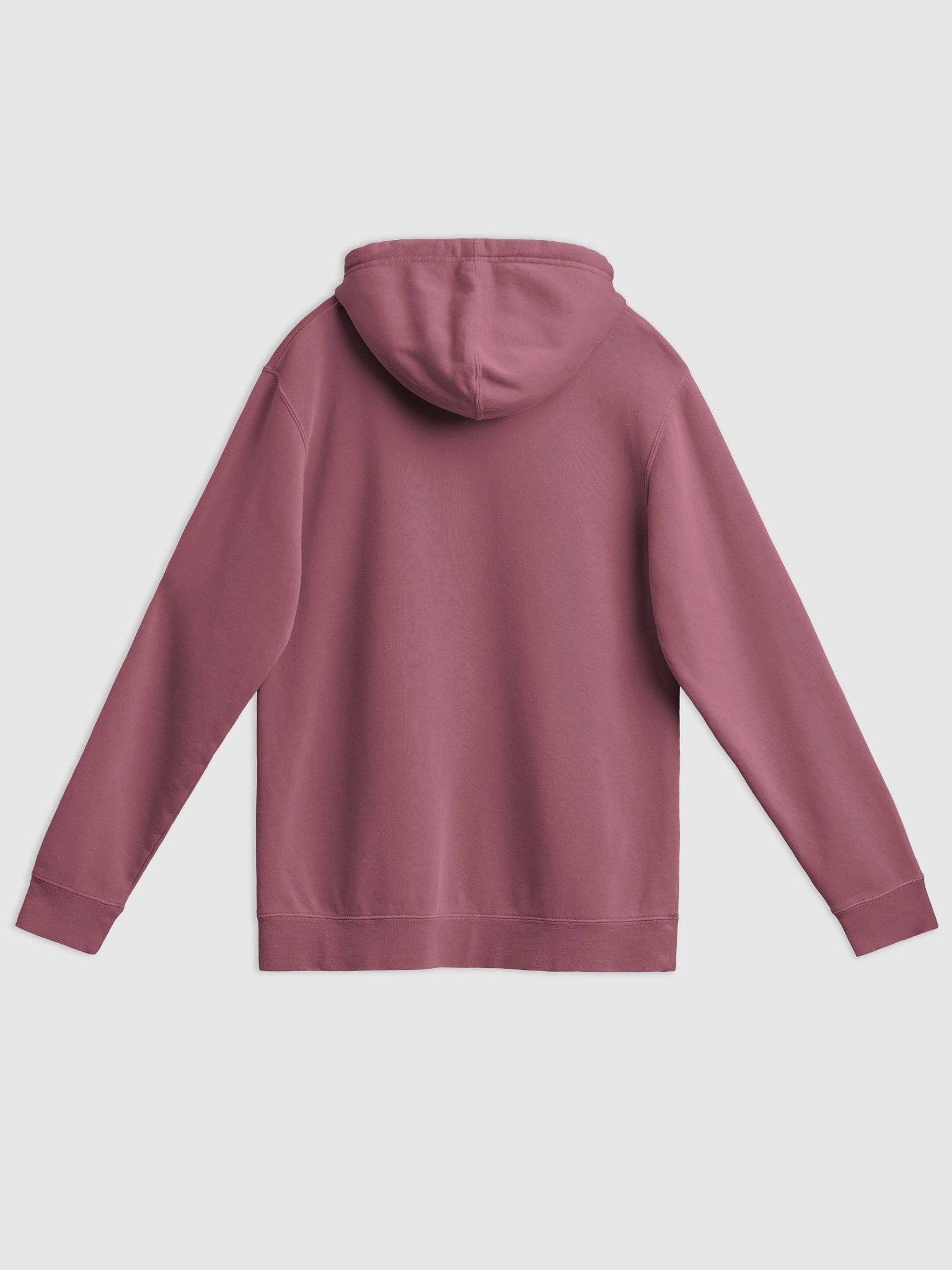 PIBRY Logo Hoodie – Women's product image (17)