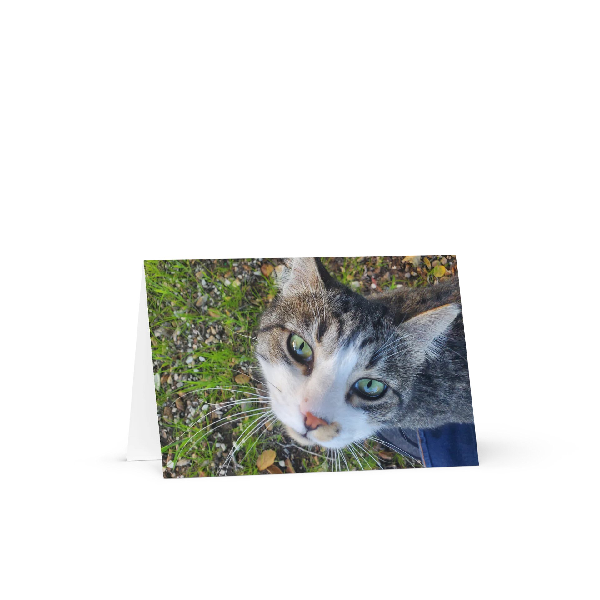 Banjo Says HELLO! product image (1)