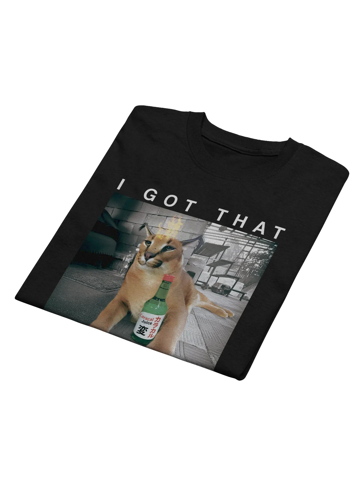 "I GOT THAT DOG IN ME" Classic T-Shirt product image (3)