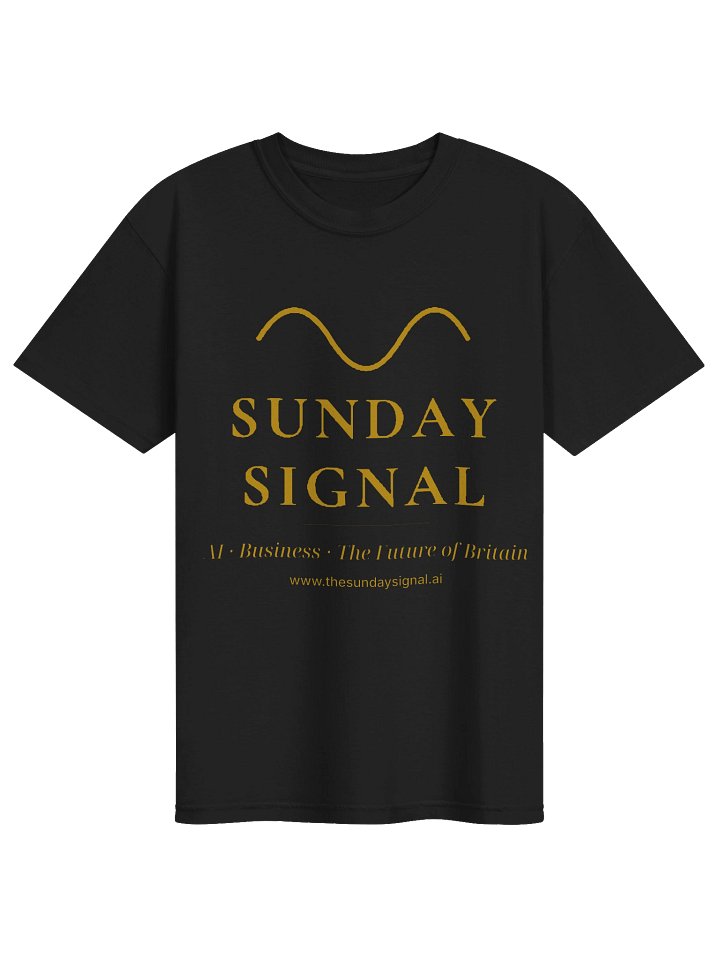 Printed T product image (1)