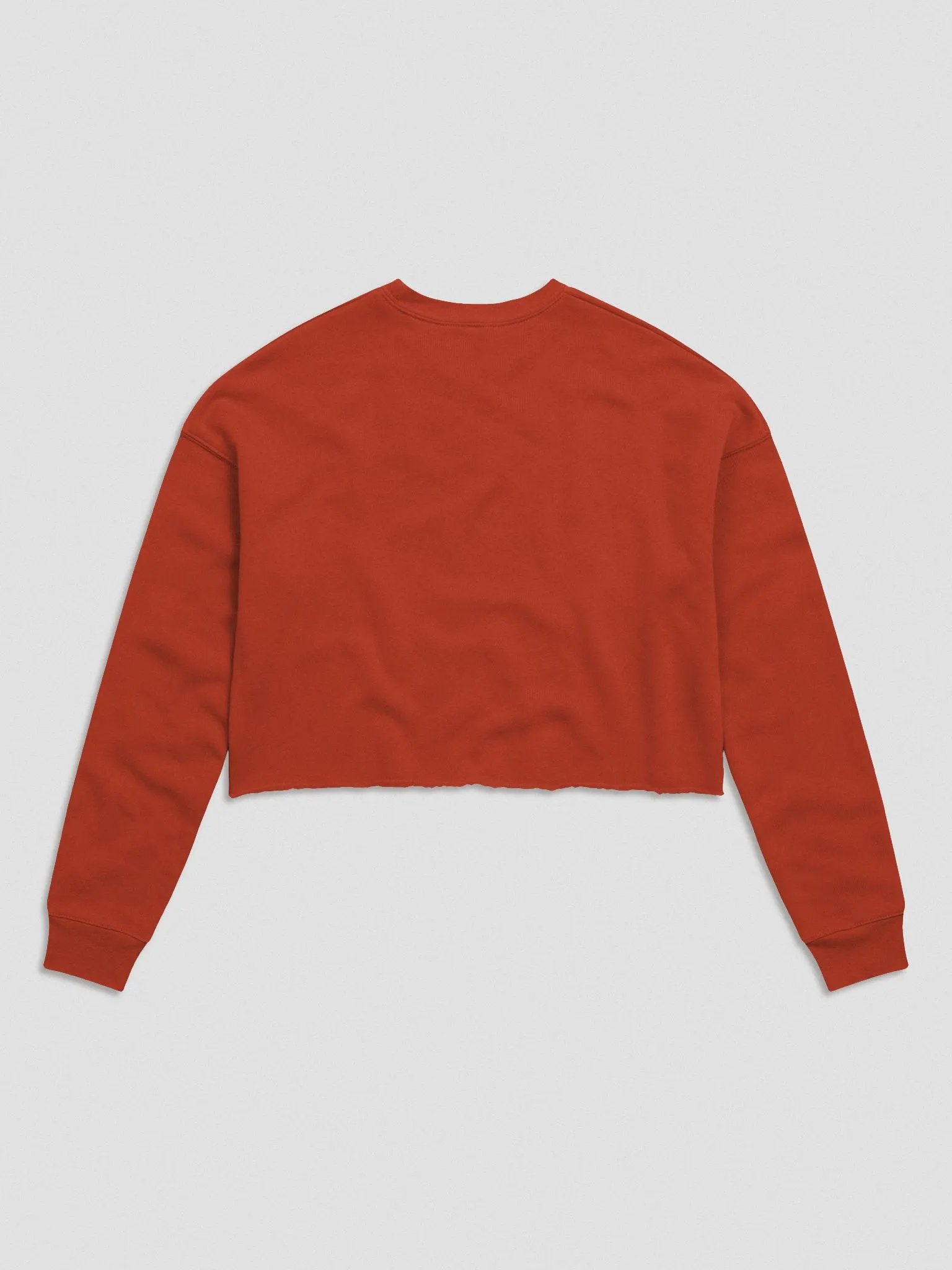 Remember to Recharge (Crop Sweater) product image (6)