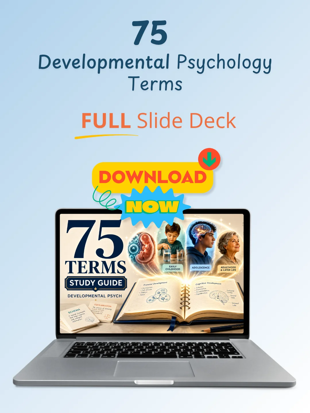 75 Developmental Psychology Terms | Editable PowerPoint for Teachers & Creators product image (4)