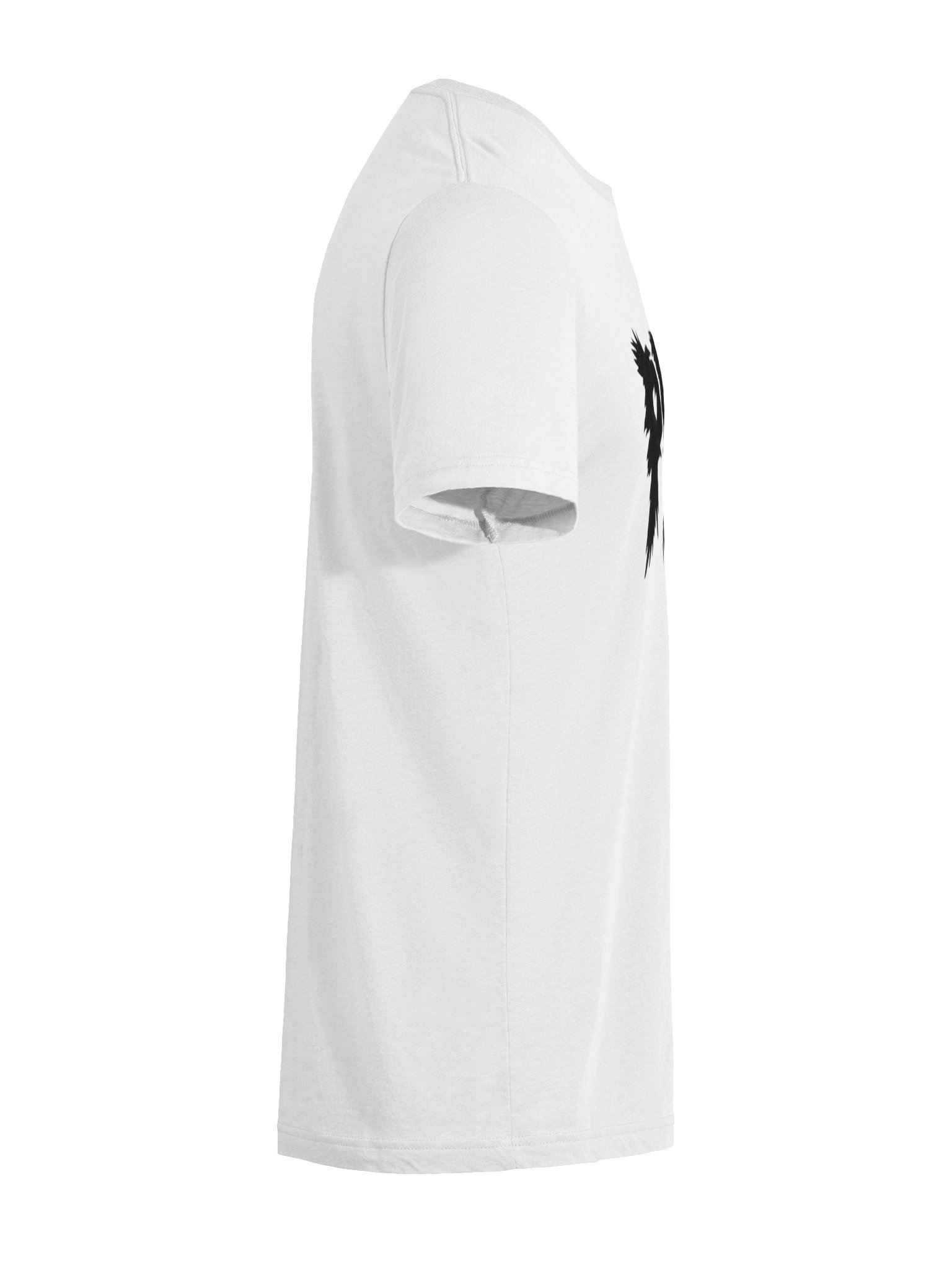 Birds Of Pray T-Shirt product image (25)