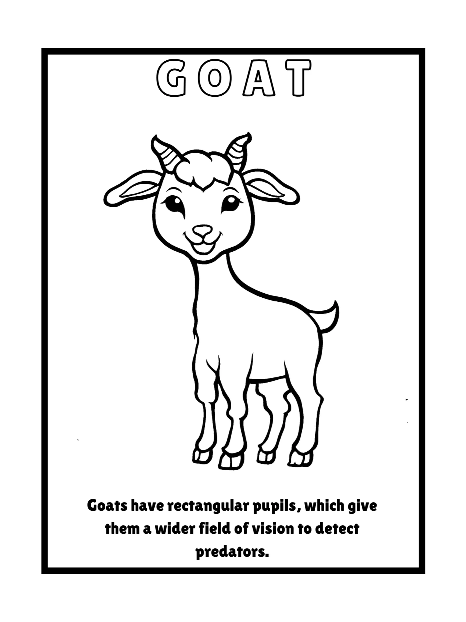 Educational Animals Coloring Pages product image (2)