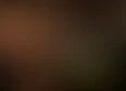 Company Lot's tag thumbnail