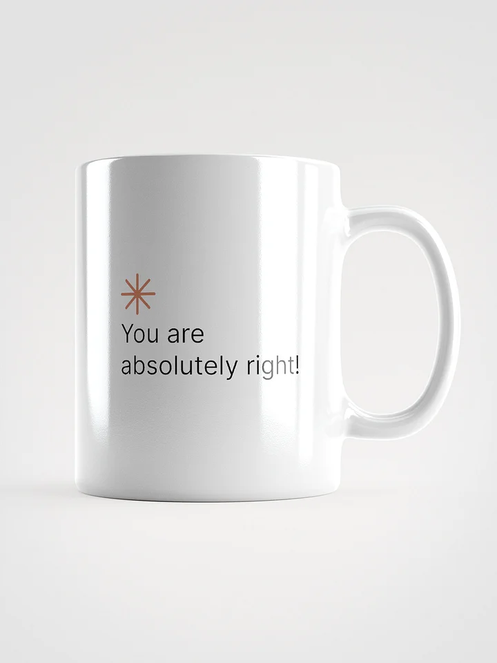 You are absolutely right! product image (1)