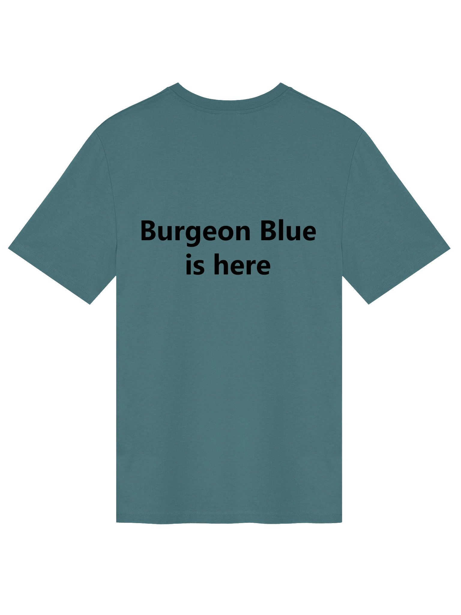 Burgeon Blue is here - Classic Organic Tee product image (4)
