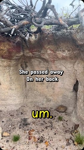 #nephilim #giants #genesis6