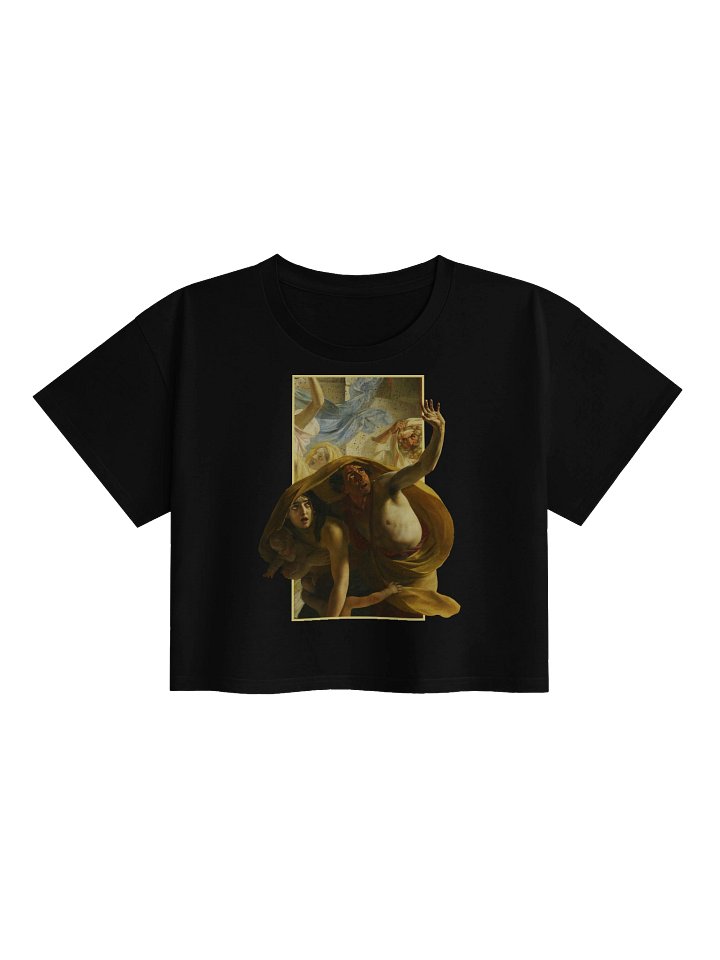 Pompeii I - Crop Top product image (1)