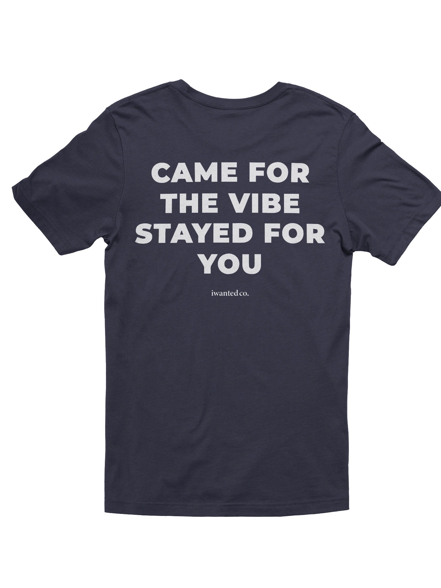 Came For The Vibe Stayed For You T-Shirt product image (4)