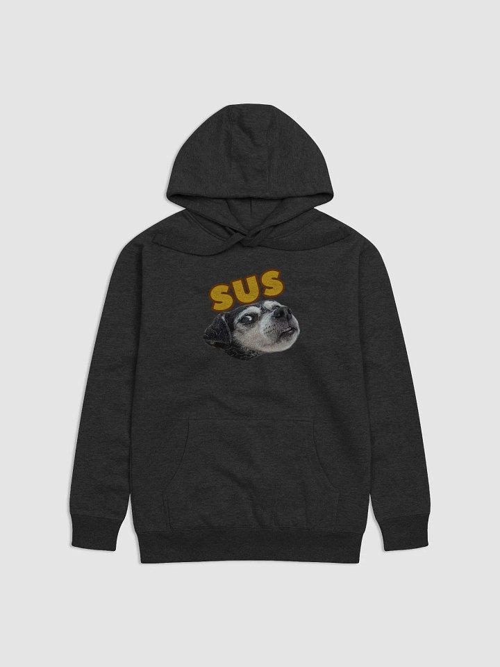 SUS, The Hoodie product image (1)