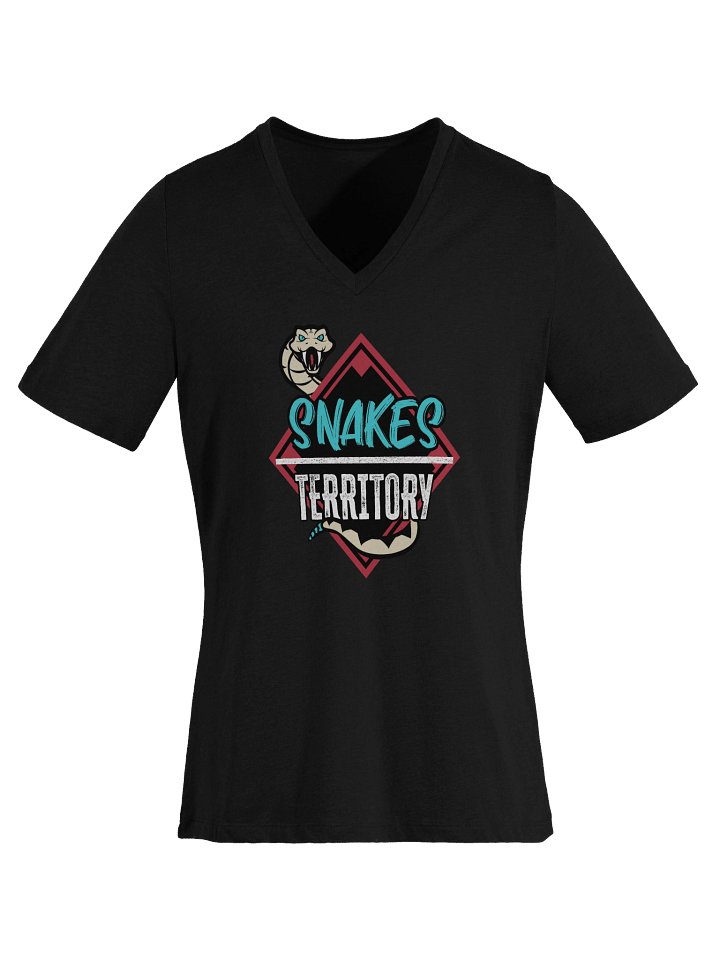 Women's V-Neck T-Shirt product image (1)