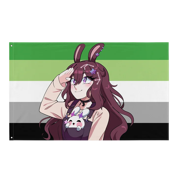 Aromantic Pride Flag - featuring Yuwuna! product image (1)