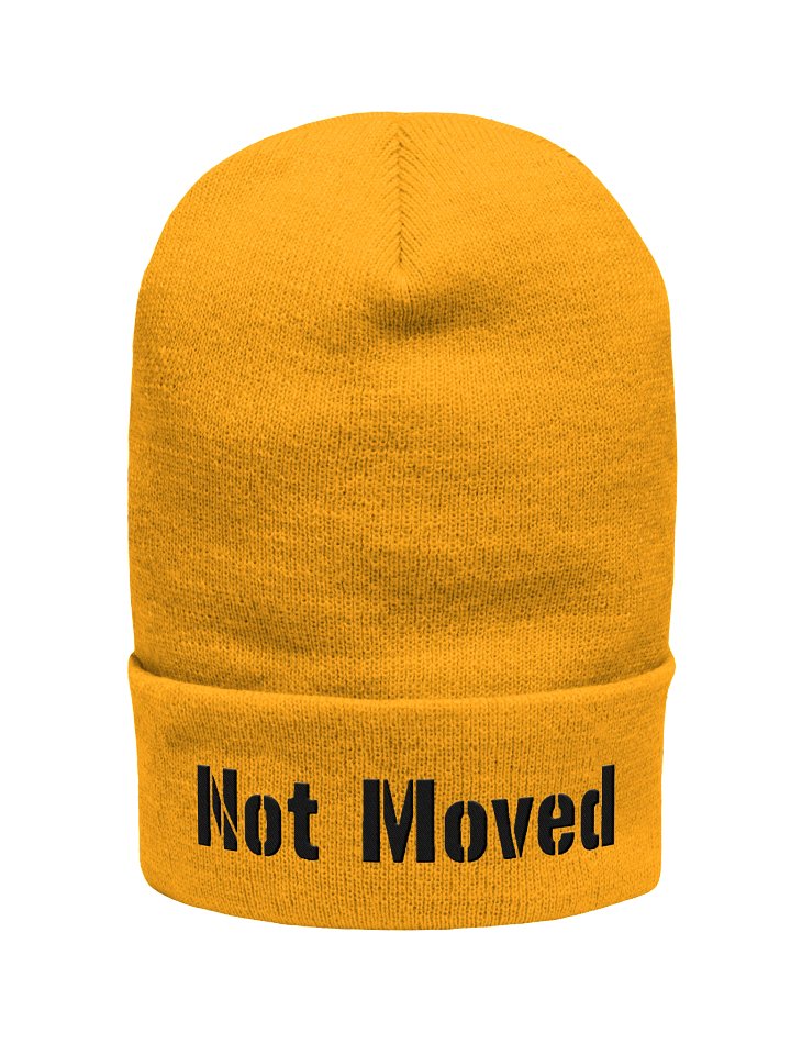 Cozy Embroidered Not Moved Beanie for Cuffing Season product image (1)