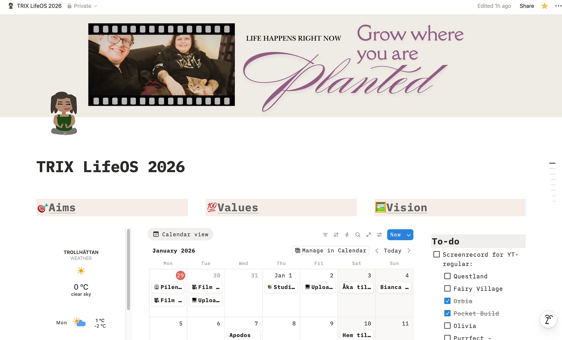 LifeOS 2026 - Template for Notion (digital download) product image (2)