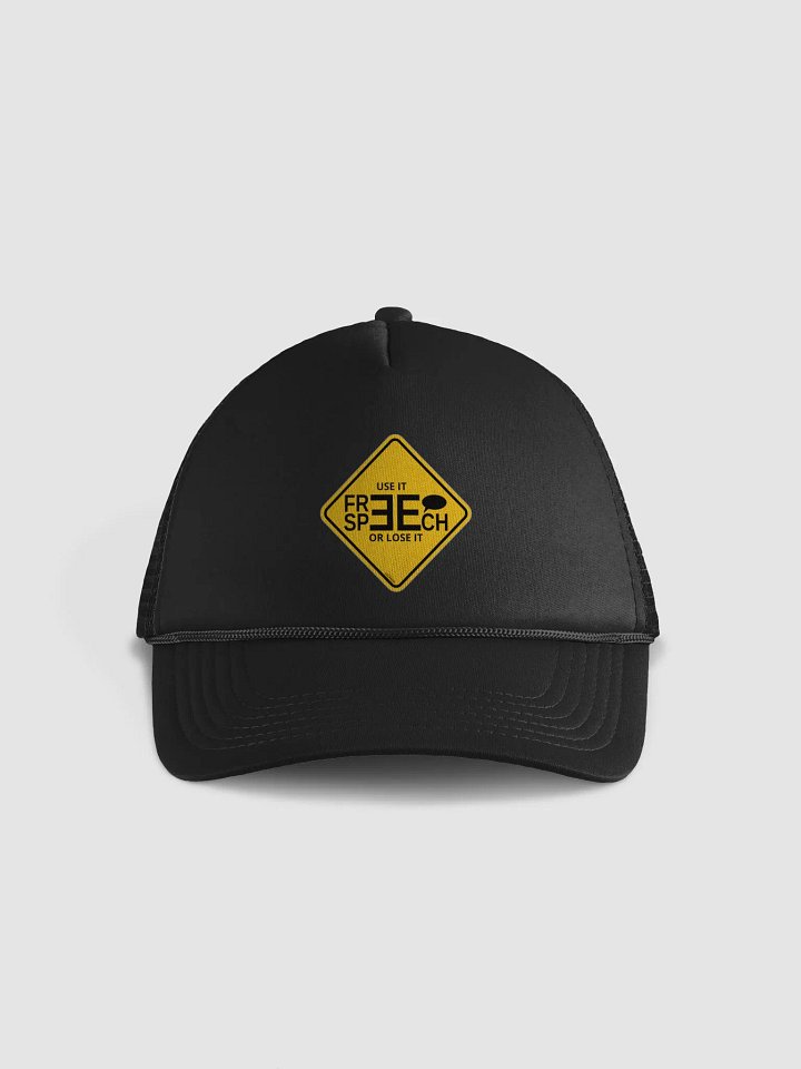 FREE SPEECH, USE IT OR LOSE IT product image (3)