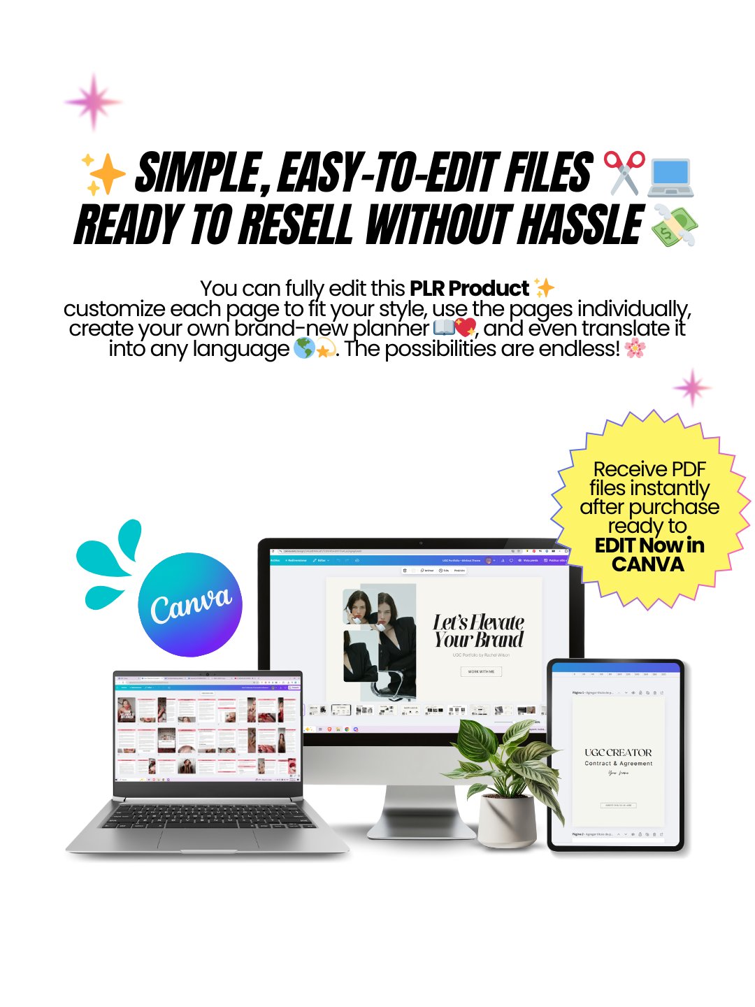 6 UGC Ebooks & Portfolio Templates | MRR PLR Bundle product image (11)