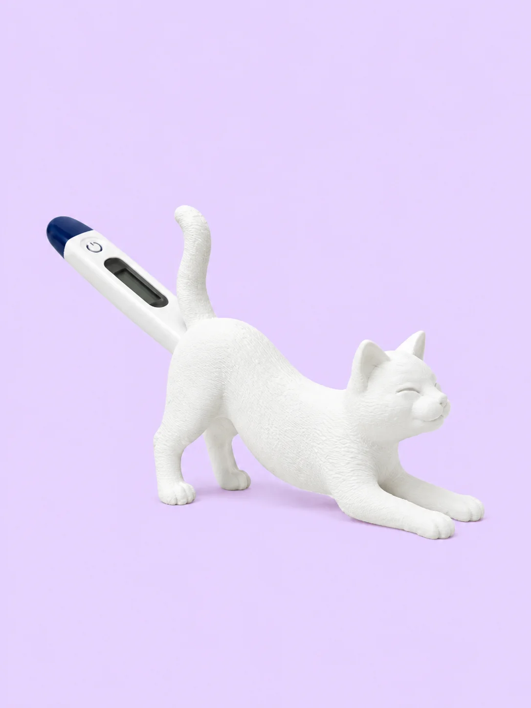 Cat and Dog Thermometer Holders product image (3)